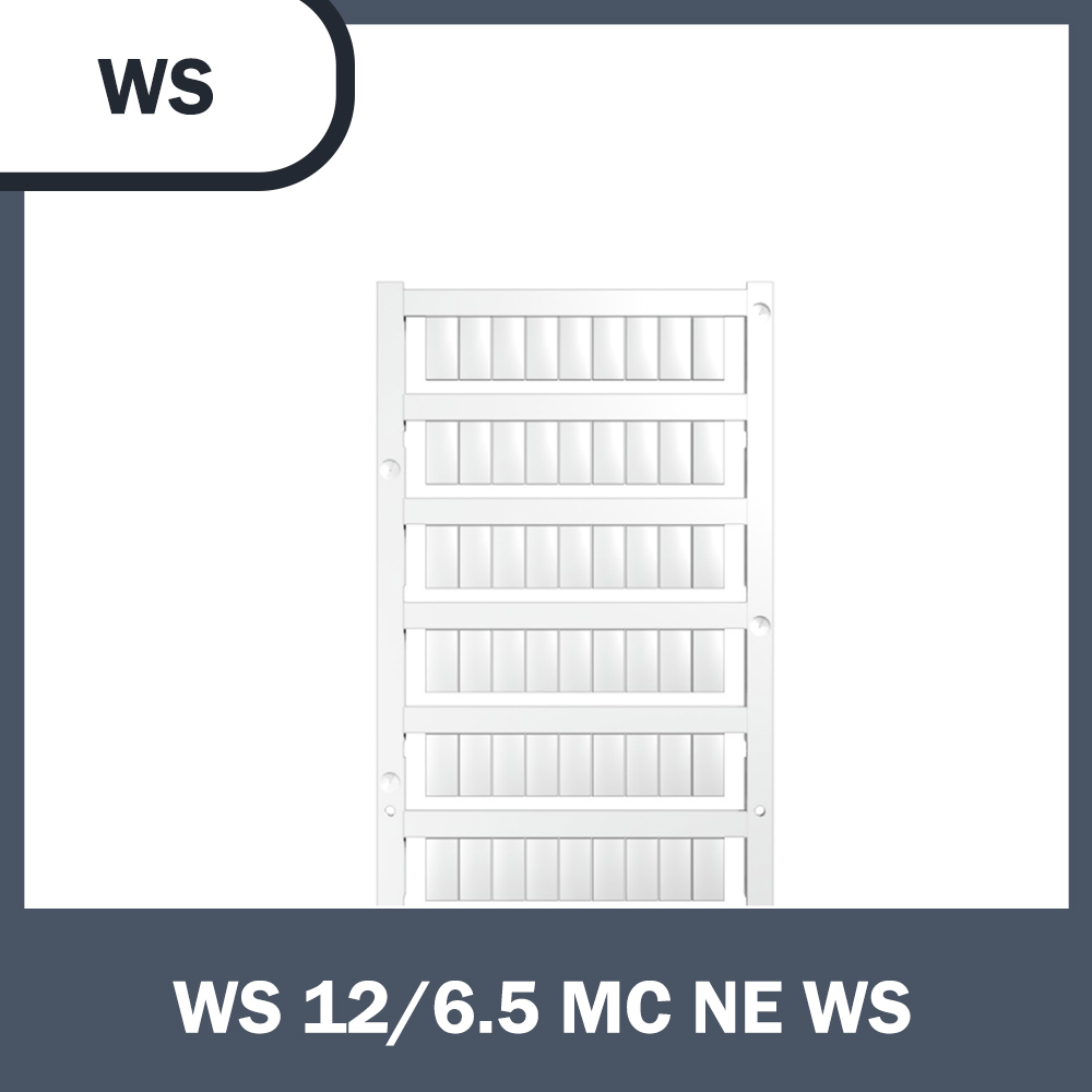 WS 12／6.5 MC NE WS